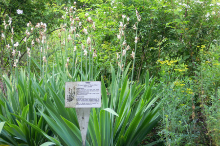 Parco Giardino S. Apollonio