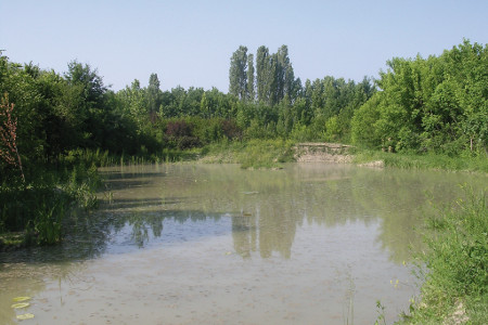 Parco Giardino S. Apollonio