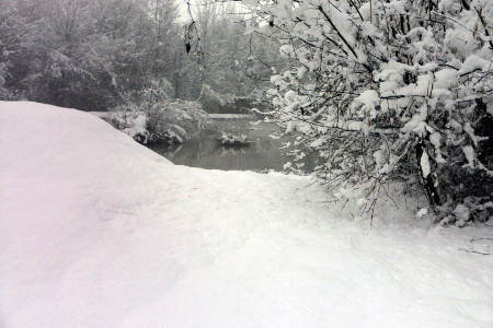 Parco Giardino S. Apollonio