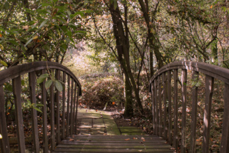 Parco Giardino S. Apollonio