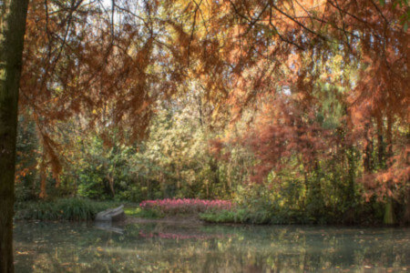 Parco Giardino S. Apollonio