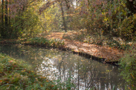 Parco Giardino S. Apollonio