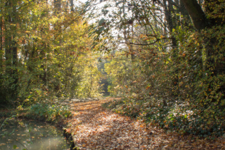 Parco Giardino S. Apollonio