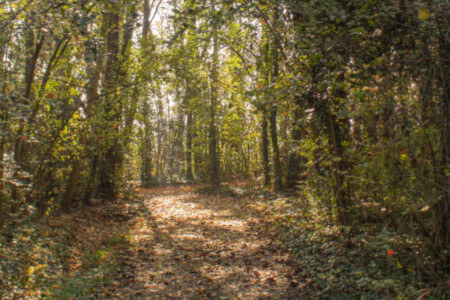 Parco Giardino S. Apollonio