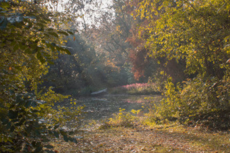 Parco Giardino S. Apollonio