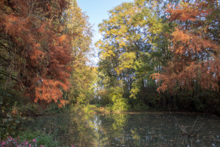 Parco Giardino S. Apollonio