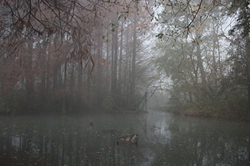 Parco Giardino S. Apollonio