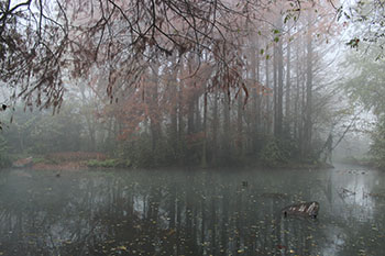 Parco Giardino S. Apollonio