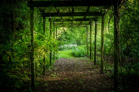Parco Giardino S. Apollonio