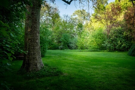 Parco Giardino S. Apollonio