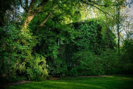 Parco Giardino S. Apollonio