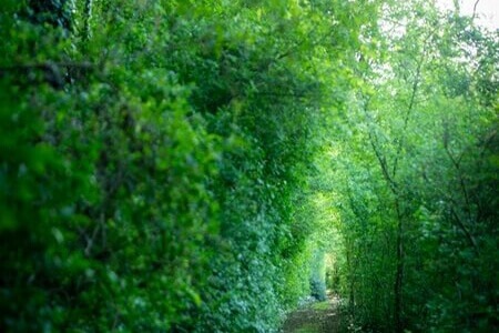 Parco Giardino S. Apollonio