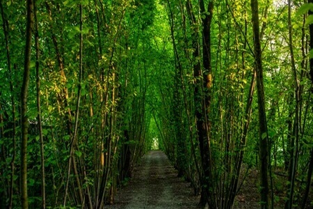 Parco Giardino S. Apollonio