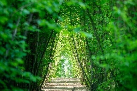 Parco Giardino S. Apollonio