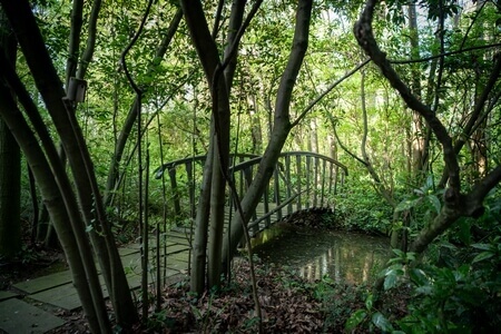 Parco Giardino S. Apollonio