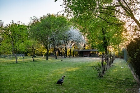 Parco Giardino S. Apollonio