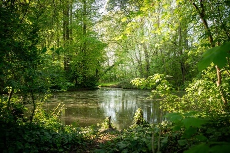 Parco Giardino S. Apollonio