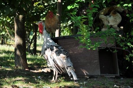 Parco Giardino S. Apollonio