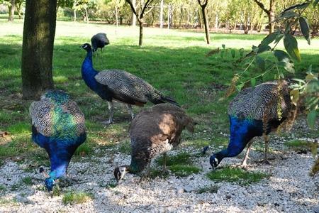 Parco Giardino S. Apollonio