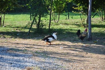 Parco Giardino S. Apollonio