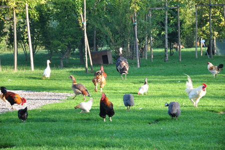 Parco Giardino S. Apollonio