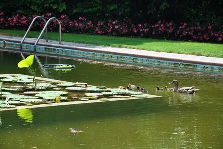 Parco Giardino S. Apollonio