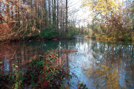 Parco Giardino S. Apollonio