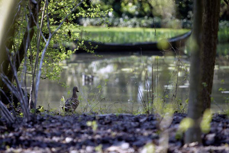 Parco Giardino S. Apollonio