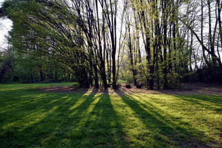 Parco Giardino S. Apollonio