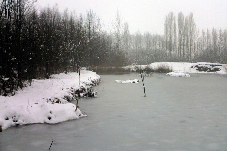 Parco Giardino S. Apollonio