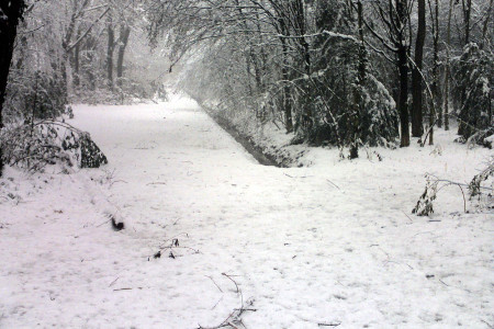 Parco Giardino S. Apollonio